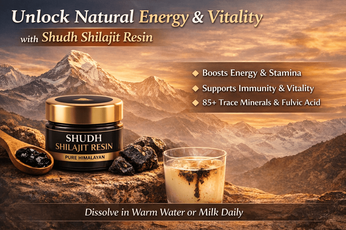 The Alchemy of the Himalayas: A Masterclass in Pure Shilajit - Shivakam Store