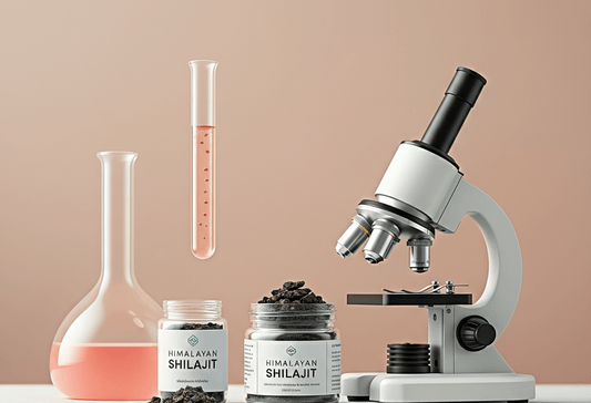How to Identify Original Shilajit and Test its Purity - Shivakam Store