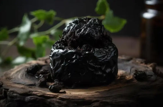 Understanding Shilajit: Nature’s Ancient Remedy for Energy and Vitality