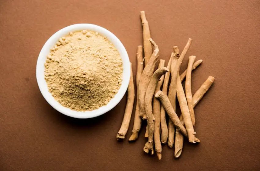 Protein Veda: Bridging the Gap Between Traditional Ayurveda and Modern Nutrition - Shivakam Store