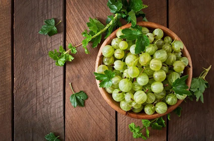 Women’s Health and Ayurveda: The Benefits of Shatavari and Amla - Shivakam Store
