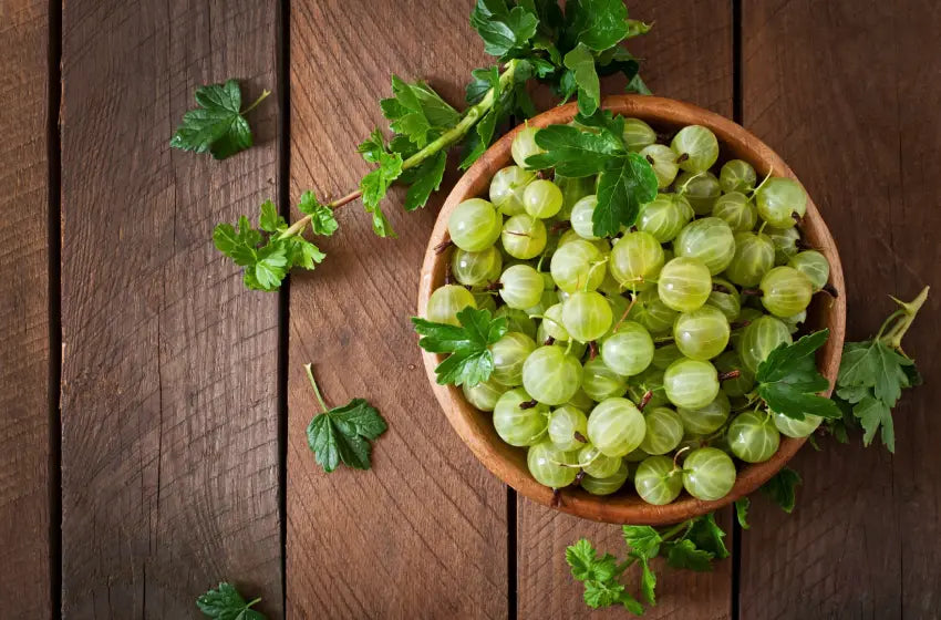 Women’s Health and Ayurveda: The Benefits of Shatavari and Amla