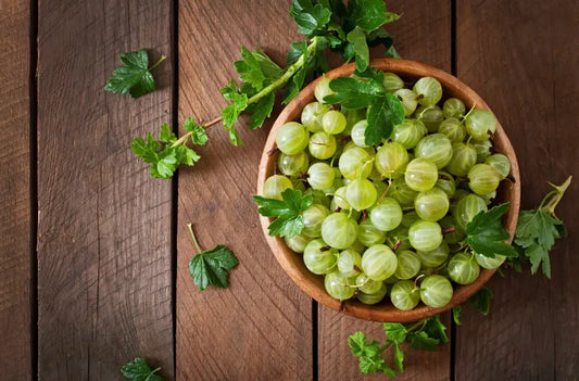 Women’s Health and Ayurveda: The Benefits of Shatavari and Amla