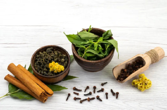 The Benefits of Ayurvedic Supplements in Modern Wellness Routines