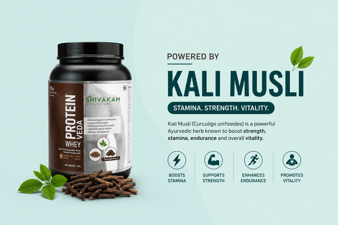 The Bio-Energetic Matrix of Male Vitality: How Kali Musli Optimizes Protein Veda Men - Shivakam Store