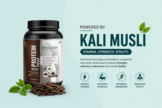The Bio-Energetic Matrix of Male Vitality: How Kali Musli Optimizes Protein Veda Men - Shivakam Store