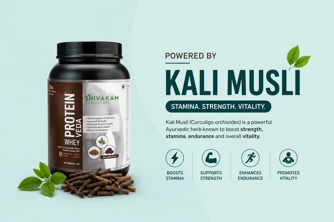 The Bio-Energetic Matrix of Male Vitality: How Kali Musli Optimizes Protein Veda Men