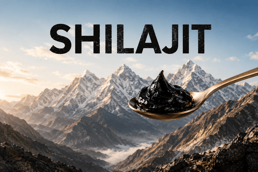 What Is Shilajit and Why Choose Shivakam Shudh Shilajit Resin? - Shivakam Store