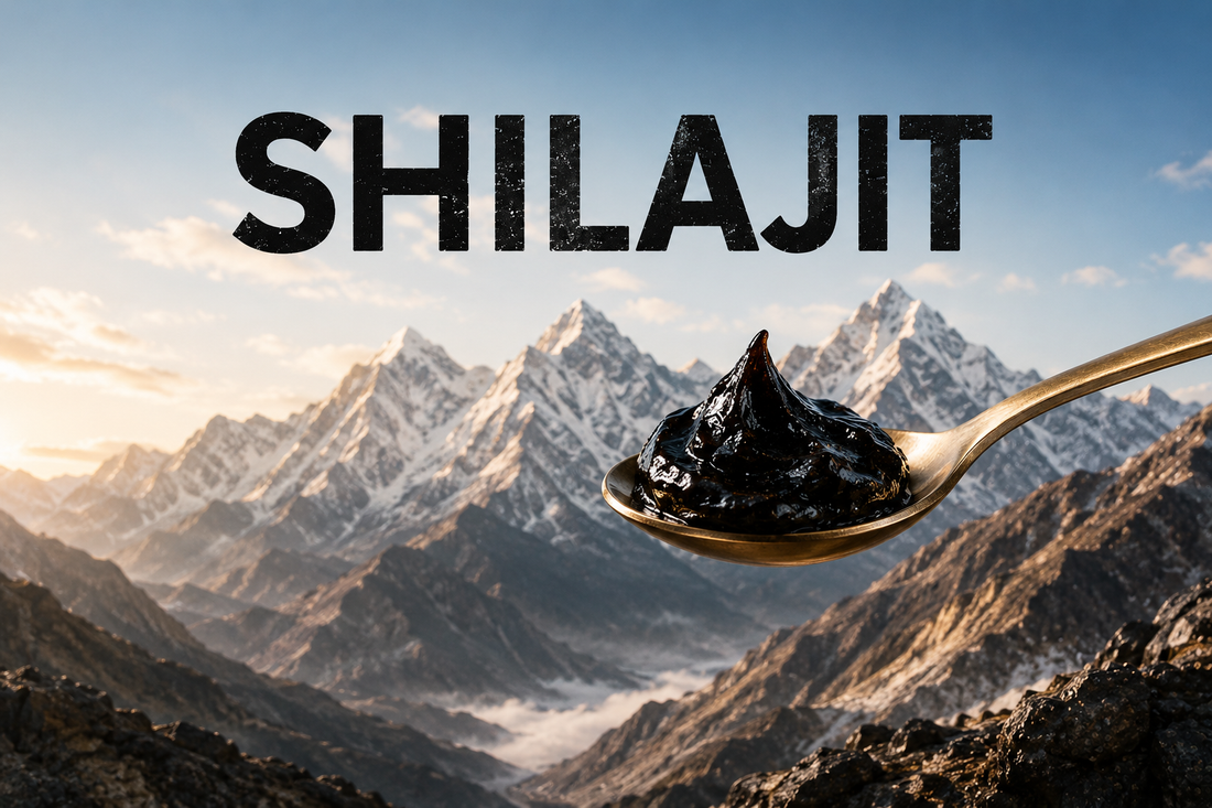 What Is Shilajit and Why Choose Shivakam Shudh Shilajit Resin?