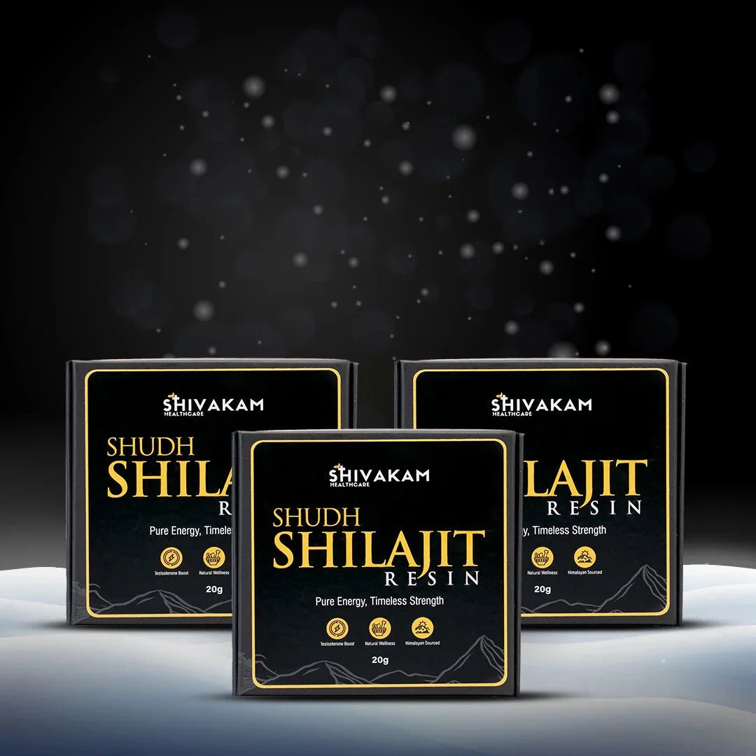 Shudh Shilajit Resin (3 Packs) - Shivakam Store