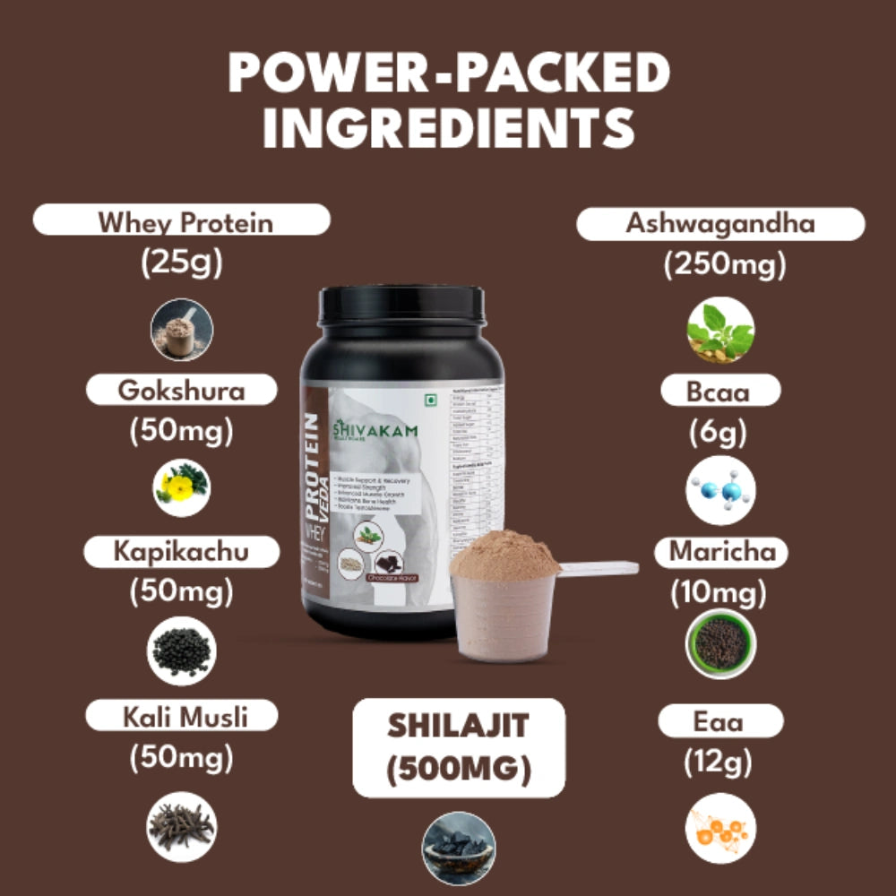 India's First Ayurvedic Whey Protein Powder for Men | Boost Strength, Stamina & Muscle Recovery | Natural Energy & Hormonal Support | BCAA, Shilajit & Ashwagandha (2 Packs)