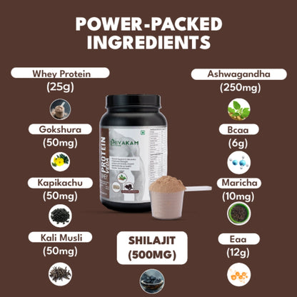 India's First Ayurvedic Whey Protein Powder for Men | Boost Strength, Stamina & Muscle Recovery | Natural Energy & Hormonal Support | BCAA, Shilajit & Ashwagandha (2 Packs)